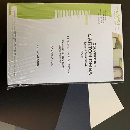 Carton DMSA 290g/m2 Ligné vertical A4